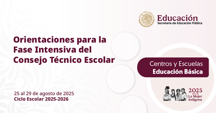 Orientaciones para la Fase Intensiva del Consejo Técnico Escolar. Centros y Escuelas. Educación Básica