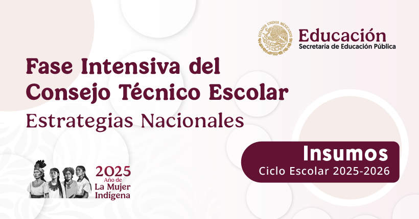 Insumos de las Estrategias Nacionales